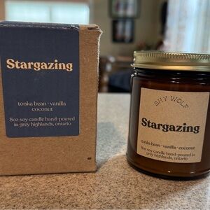 Shy Wolf Stargazing Candle